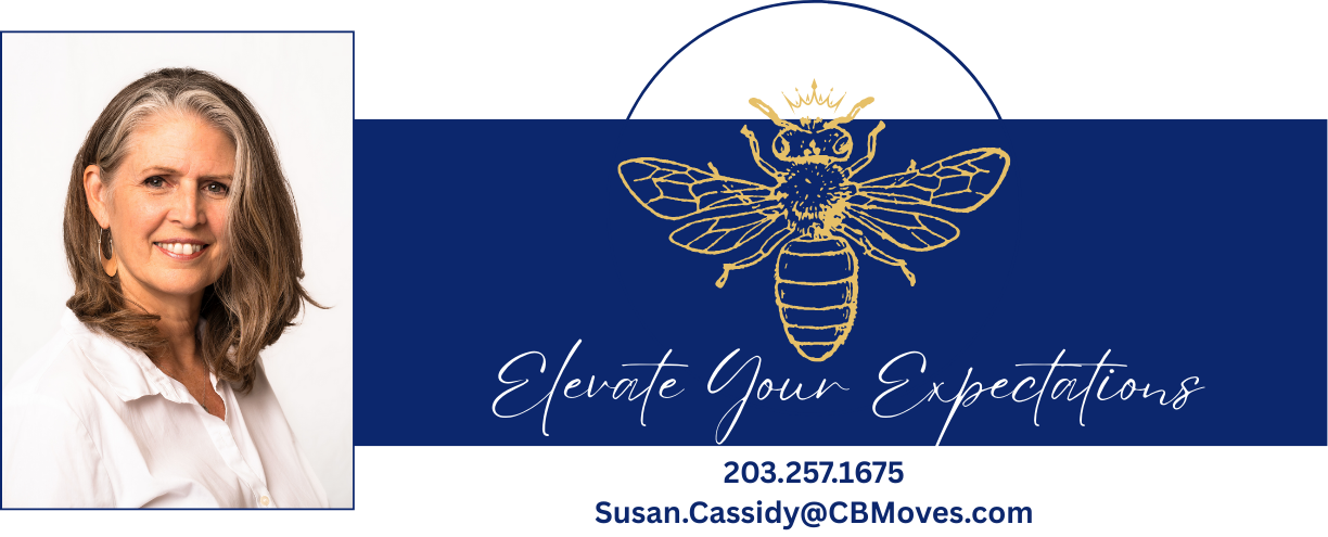 Elevate Your Expectations (11)